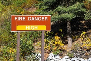 Forest Fire Prevention Tips